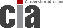careersinaudit logo