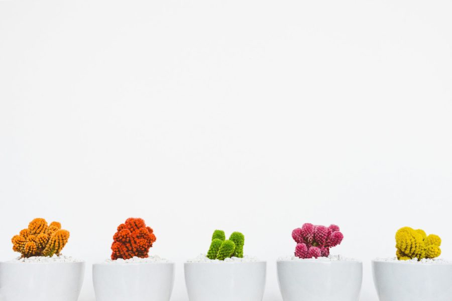 Creative, fun and memorable recruitment campaigns - JBF News Creative, fun and memorable recruitment campaigns - JBF News
