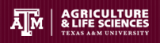 Texas a and m job board