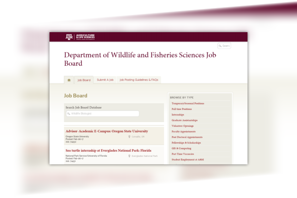Texas a and m job board